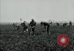 Image of American 302nd Engineers France, 1918, second 5 stock footage video 65675029213