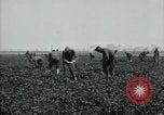 Image of American 302nd Engineers France, 1918, second 6 stock footage video 65675029213