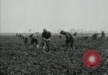 Image of American 302nd Engineers France, 1918, second 7 stock footage video 65675029213