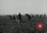 Image of American 302nd Engineers France, 1918, second 8 stock footage video 65675029213