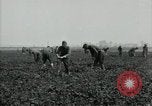 Image of American 302nd Engineers France, 1918, second 9 stock footage video 65675029213