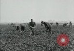 Image of American 302nd Engineers France, 1918, second 10 stock footage video 65675029213