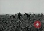 Image of American 302nd Engineers France, 1918, second 11 stock footage video 65675029213