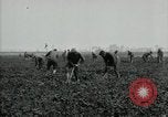 Image of American 302nd Engineers France, 1918, second 12 stock footage video 65675029213