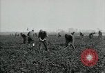 Image of American 302nd Engineers France, 1918, second 13 stock footage video 65675029213