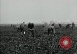 Image of American 302nd Engineers France, 1918, second 14 stock footage video 65675029213