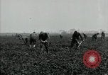 Image of American 302nd Engineers France, 1918, second 15 stock footage video 65675029213
