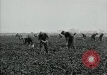 Image of American 302nd Engineers France, 1918, second 16 stock footage video 65675029213