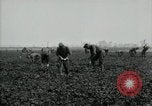 Image of American 302nd Engineers France, 1918, second 17 stock footage video 65675029213