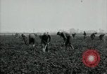 Image of American 302nd Engineers France, 1918, second 18 stock footage video 65675029213