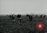 Image of American 302nd Engineers France, 1918, second 19 stock footage video 65675029213
