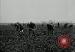 Image of American 302nd Engineers France, 1918, second 20 stock footage video 65675029213