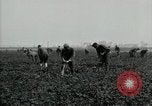 Image of American 302nd Engineers France, 1918, second 21 stock footage video 65675029213