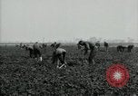 Image of American 302nd Engineers France, 1918, second 22 stock footage video 65675029213