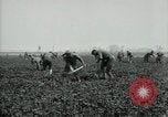 Image of American 302nd Engineers France, 1918, second 23 stock footage video 65675029213