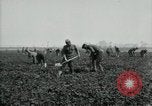 Image of American 302nd Engineers France, 1918, second 24 stock footage video 65675029213