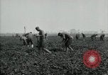 Image of American 302nd Engineers France, 1918, second 25 stock footage video 65675029213
