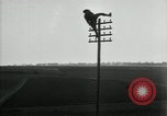 Image un entretien de routine des lignes de communications France, 1918, de la seconde 34 séquences d'archives historiques vidéo 65675029214