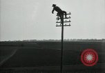 Image un entretien de routine des lignes de communications France, 1918, de la seconde 39 séquences d'archives historiques vidéo 65675029214