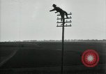 Image un entretien de routine des lignes de communications France, 1918, de la seconde 43 séquences d'archives historiques vidéo 65675029214