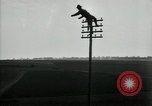 Image un entretien de routine des lignes de communications France, 1918, de la seconde 45 séquences d'archives historiques vidéo 65675029214
