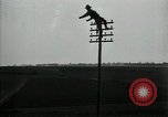 Image un entretien de routine des lignes de communications France, 1918, de la seconde 46 séquences d'archives historiques vidéo 65675029214