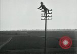 Image un entretien de routine des lignes de communications France, 1918, de la seconde 51 séquences d'archives historiques vidéo 65675029214