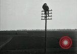 Image un entretien de routine des lignes de communications France, 1918, de la seconde 53 séquences d'archives historiques vidéo 65675029214