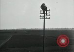 Image un entretien de routine des lignes de communications France, 1918, de la seconde 54 séquences d'archives historiques vidéo 65675029214