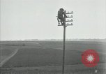Image un entretien de routine des lignes de communications France, 1918, de la seconde 55 séquences d'archives historiques vidéo 65675029214