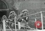 Standbild American 42 Küstenartillerie Rückkehr aus Ersten Weltkrieg Saint Nazaire Frankreich, 1919, aus Sekunde 12 historischem Filmmaterial Videoclip 65675029222