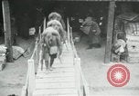 Standbild American70th und 71 Küste Artillerie auf SS Mandschurei Saint Nazaire Frankreich, 1919, aus Sekunde 28 historischem Filmmaterial Videoclip 65675029228