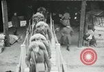 Standbild American70th und 71 Küste Artillerie auf SS Mandschurei Saint Nazaire Frankreich, 1919, aus Sekunde 30 historischem Filmmaterial Videoclip 65675029228