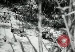 Image of American18th Infantry World War 1 in Verdun Argonne France, 1918, second 33 stock footage video 65675029244
