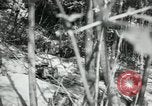 Image of American18th Infantry World War 1 in Verdun Argonne France, 1918, second 36 stock footage video 65675029244