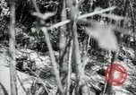 Image of American18th Infantry World War 1 in Verdun Argonne France, 1918, second 37 stock footage video 65675029244