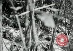 Image of American18th Infantry World War 1 in Verdun Argonne France, 1918, second 38 stock footage video 65675029244