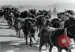 Image of British Colonial Indian mounted machine gun battery Mesopotamia, 1917, second 32 stock footage video 65675029246