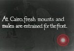 Immagine di British egiziano forza expeditionary Il Cairo Egitto, 1917, secondo 1 filmato di repertorio 65675029250