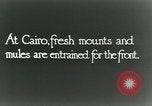 Immagine di British egiziano forza expeditionary Il Cairo Egitto, 1917, secondo 3 filmato di repertorio 65675029250