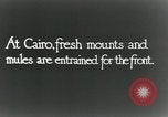 Immagine di British egiziano forza expeditionary Il Cairo Egitto, 1917, secondo 5 filmato di repertorio 65675029250
