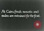 Immagine di British egiziano forza expeditionary Il Cairo Egitto, 1917, secondo 6 filmato di repertorio 65675029250