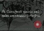 Immagine di British egiziano forza expeditionary Il Cairo Egitto, 1917, secondo 8 filmato di repertorio 65675029250