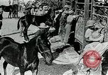 Immagine di British egiziano forza expeditionary Il Cairo Egitto, 1917, secondo 9 filmato di repertorio 65675029250