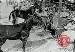 Immagine di British egiziano forza expeditionary Il Cairo Egitto, 1917, secondo 12 filmato di repertorio 65675029250