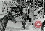 Immagine di British egiziano forza expeditionary Il Cairo Egitto, 1917, secondo 14 filmato di repertorio 65675029250
