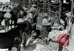 Immagine di British egiziano forza expeditionary Il Cairo Egitto, 1917, secondo 16 filmato di repertorio 65675029250