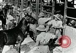 Immagine di British egiziano forza expeditionary Il Cairo Egitto, 1917, secondo 18 filmato di repertorio 65675029250
