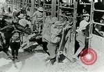 Immagine di British egiziano forza expeditionary Il Cairo Egitto, 1917, secondo 21 filmato di repertorio 65675029250