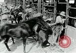 Immagine di British egiziano forza expeditionary Il Cairo Egitto, 1917, secondo 22 filmato di repertorio 65675029250